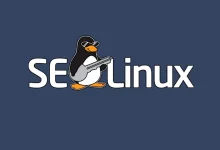SELinux چیست