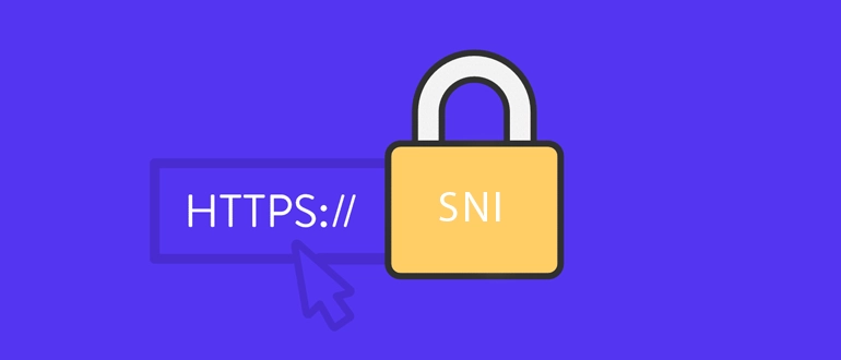 تکنولوژی sni