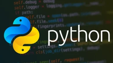 هاست پایتون چیست